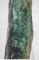 brochantite mineral rock 0005